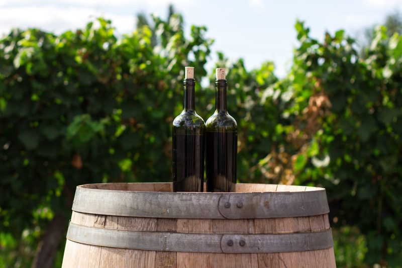 Six Most Scenic Vineyards Around Pirovac, Croatia