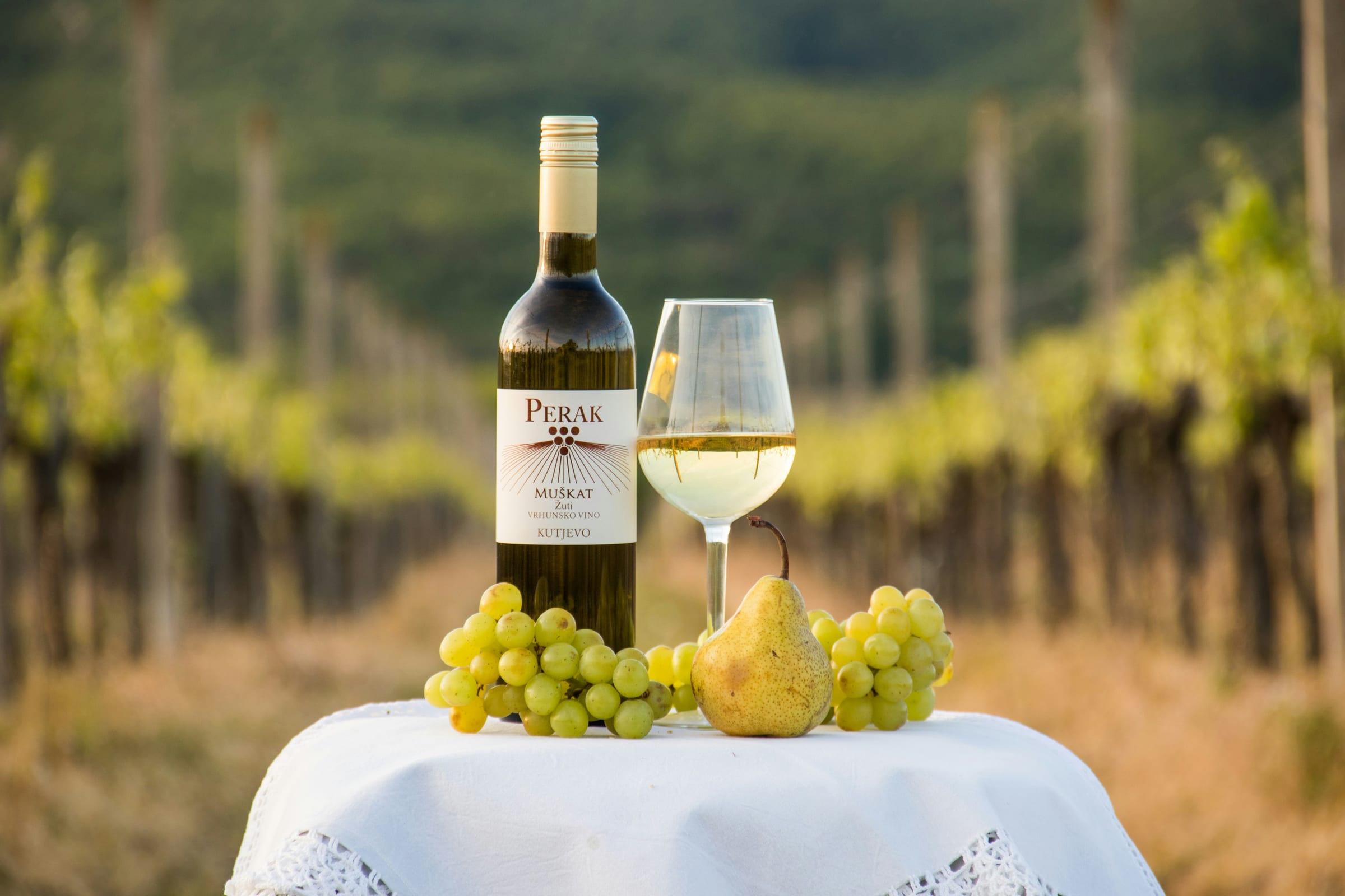 Croatia’s Indigenous Grapes: Babić, Plavac Mali, and More