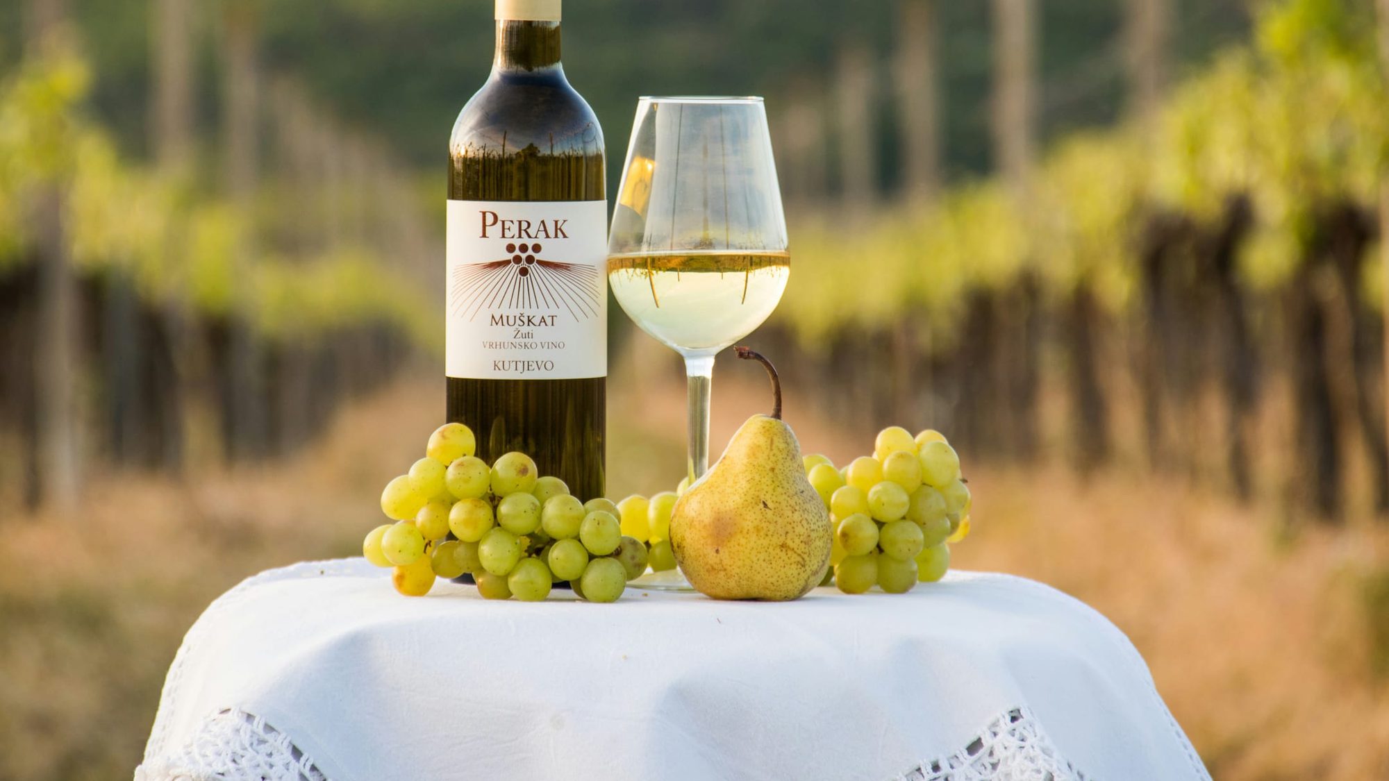Vineyard near Šibenik growing indigenous Croatian grapes