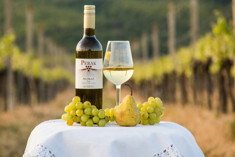Croatia’s Indigenous Grapes: Babić, Plavac Mali, and More